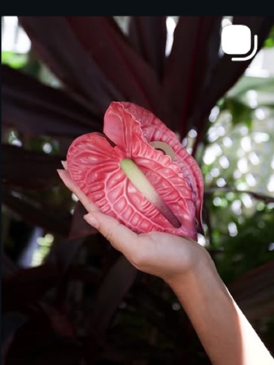 Larafleur Accessories - Red Anthurium Hair claw clip